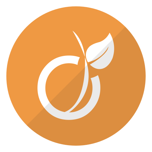 Viadeo